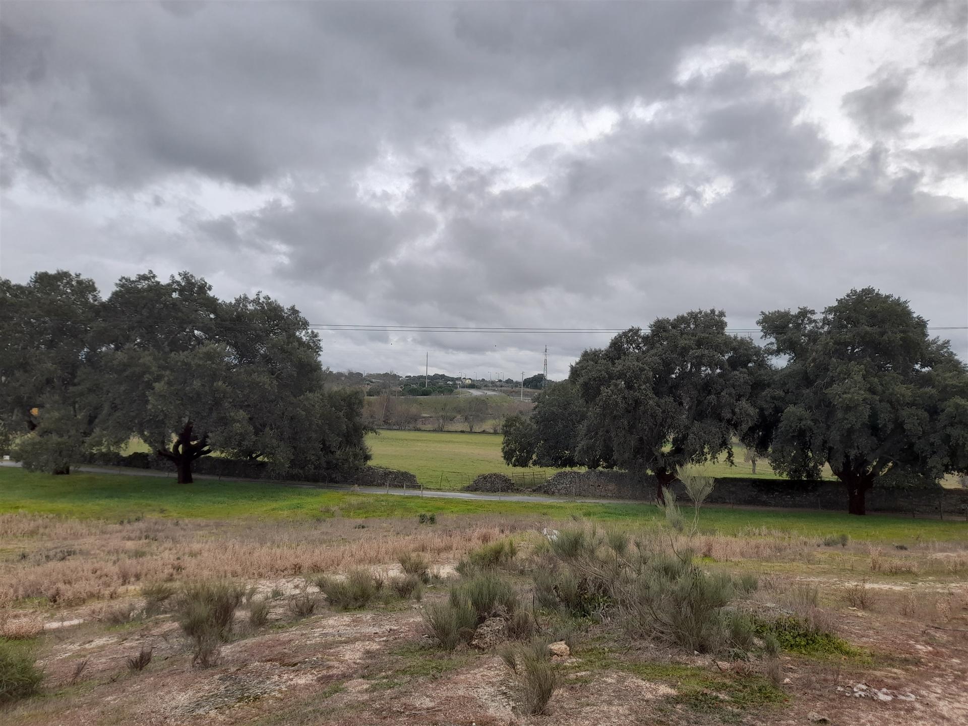 Quinta  Venda em Póvoa de Rio de Moinhos e Cafede,Castelo Branco