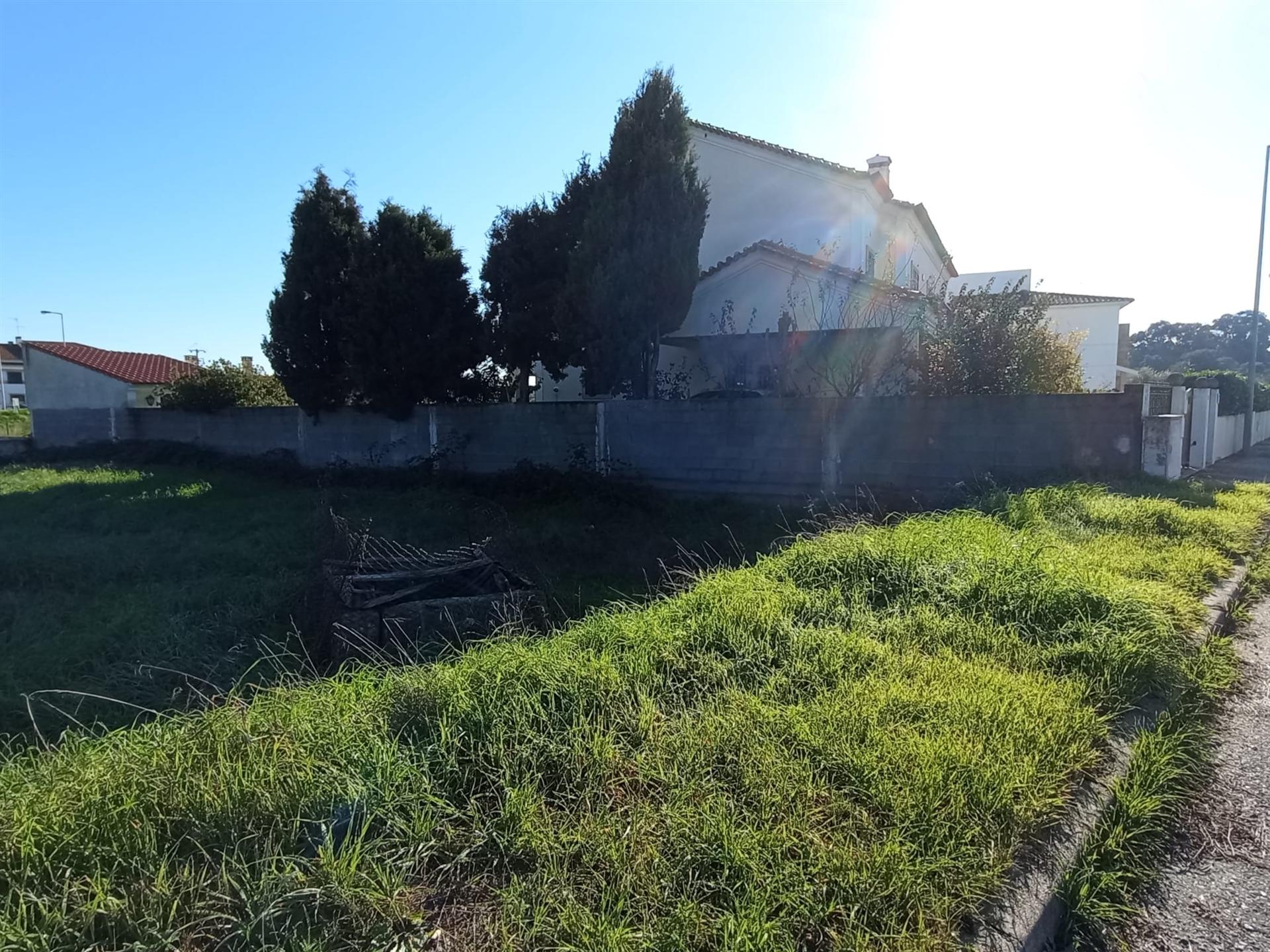 Lote de Terreno  Venda em Alcains,Castelo Branco