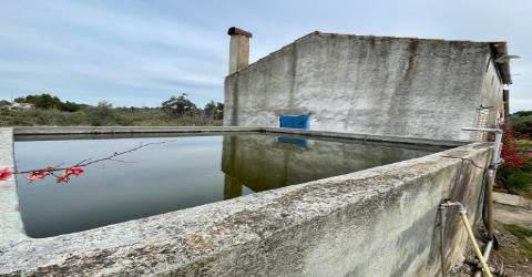 Quinta com 1,77Ha na Orca - Fundão