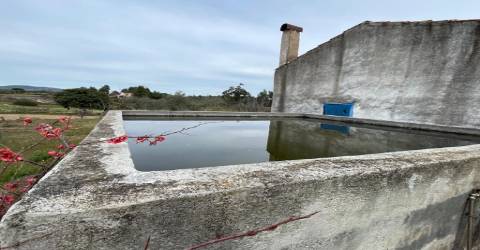 Quinta com 1,77Ha na Orca - Fundão