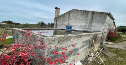 Quinta com 1,77Ha na Orca - Fundão