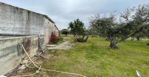 Quinta com 1,77Ha na Orca - Fundão