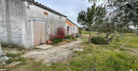 Quinta com 1,77Ha na Orca - Fundão