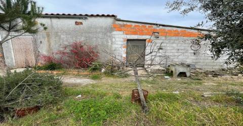 Quinta com 1,77Ha na Orca - Fundão