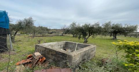 Quinta com 1,77Ha na Orca - Fundão