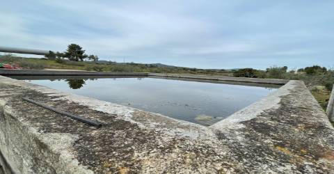 Quinta com 1,77Ha na Orca - Fundão