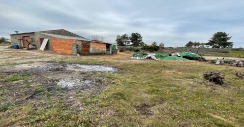 Quinta com 1,77Ha na Orca - Fundão