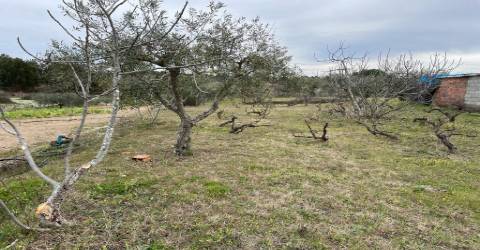 Quinta com 1,77Ha na Orca - Fundão