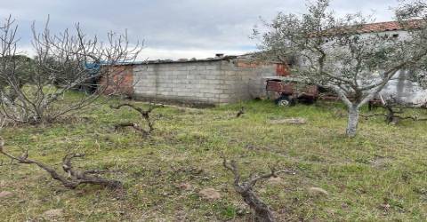 Quinta com 1,77Ha na Orca - Fundão