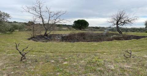 Quinta com 1,77Ha na Orca - Fundão