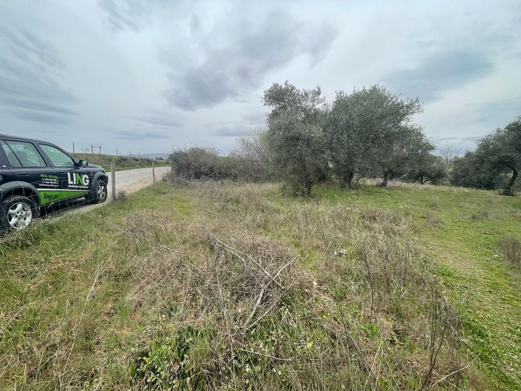 Terreno Rústico com cerca de 1,5Ha na freguesia da Orca