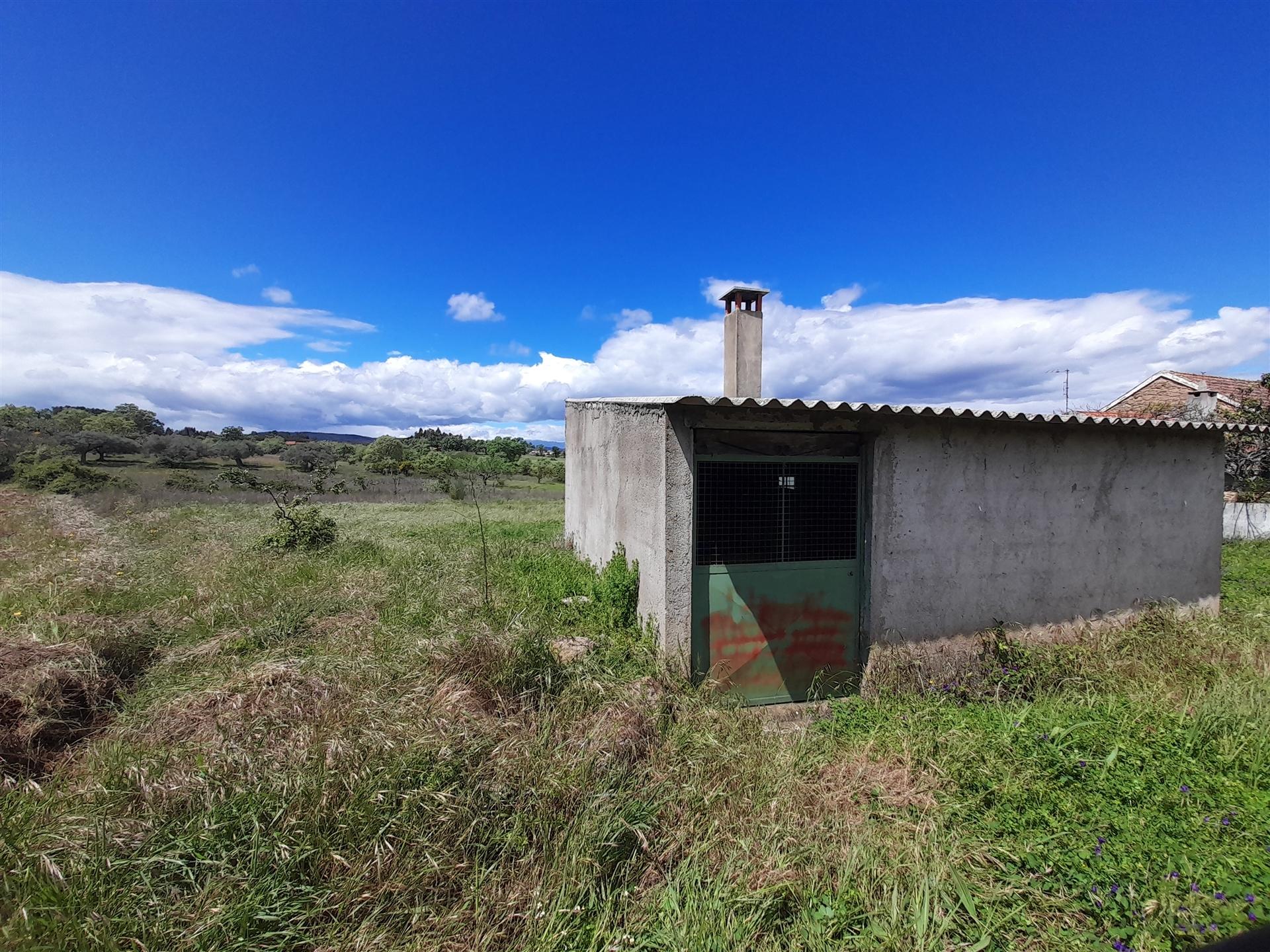 Quinta Feijoeira - 10ha - Quintas da Torre - Fundão - Portugal