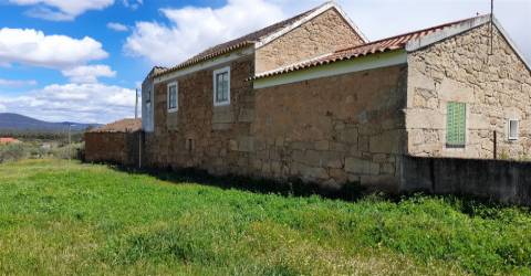 Quinta Feijoeira - 9.8ha - Quintas da Torre - Fundão - Portugal