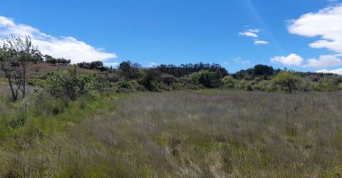 Quinta Feijoeira - 9.8ha - Quintas da Torre - Fundão - Portugal