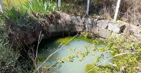 Quinta Feijoeira - 9.8ha - Quintas da Torre - Fundão - Portugal