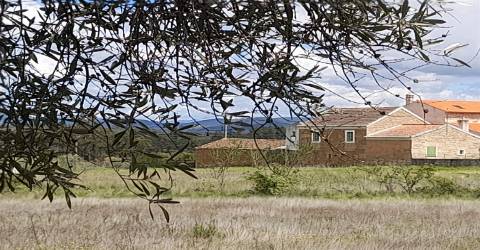 Quinta Feijoeira - 9.8ha - Quintas da Torre - Fundão - Portugal