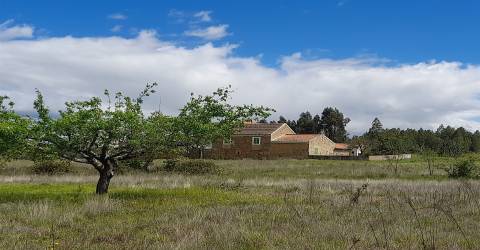 Quinta Feijoeira - 9.8ha - Quintas da Torre - Fundão - Portugal