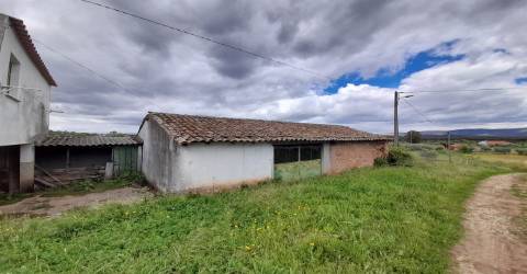 Quinta Feijoeira - 9.8ha - Quintas da Torre - Fundão - Portugal