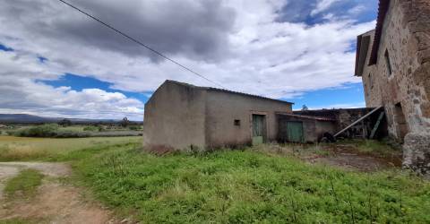 Quinta Feijoeira - 9.8ha - Quintas da Torre - Fundão - Portugal