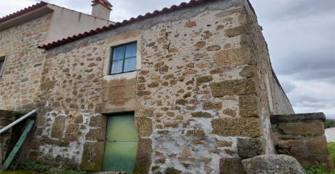 Quinta Feijoeira - 9.8ha - Quintas da Torre - Fundão - Portugal