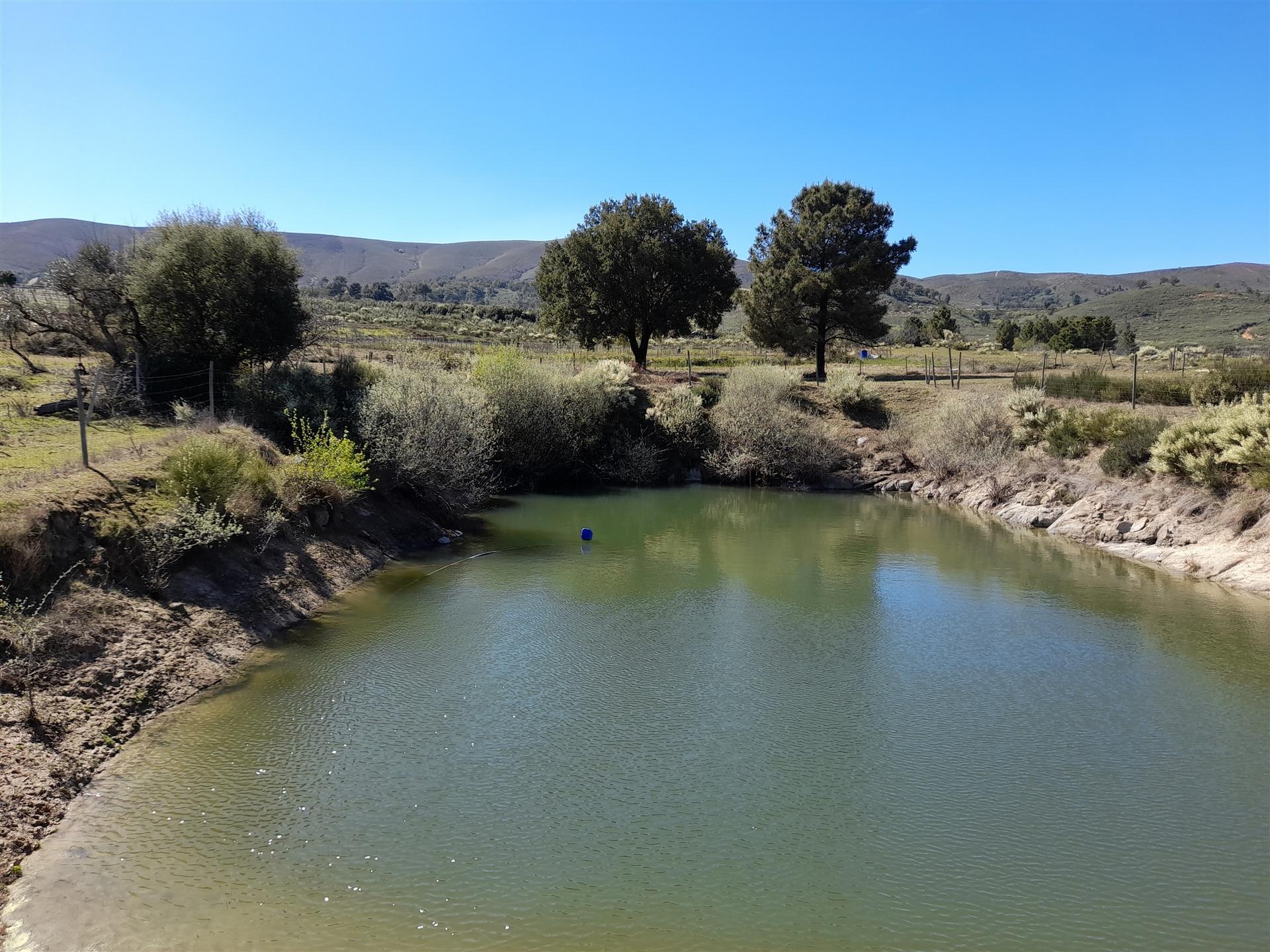 Quinta com 3.3ha no Telhado, Fundão - Portugal