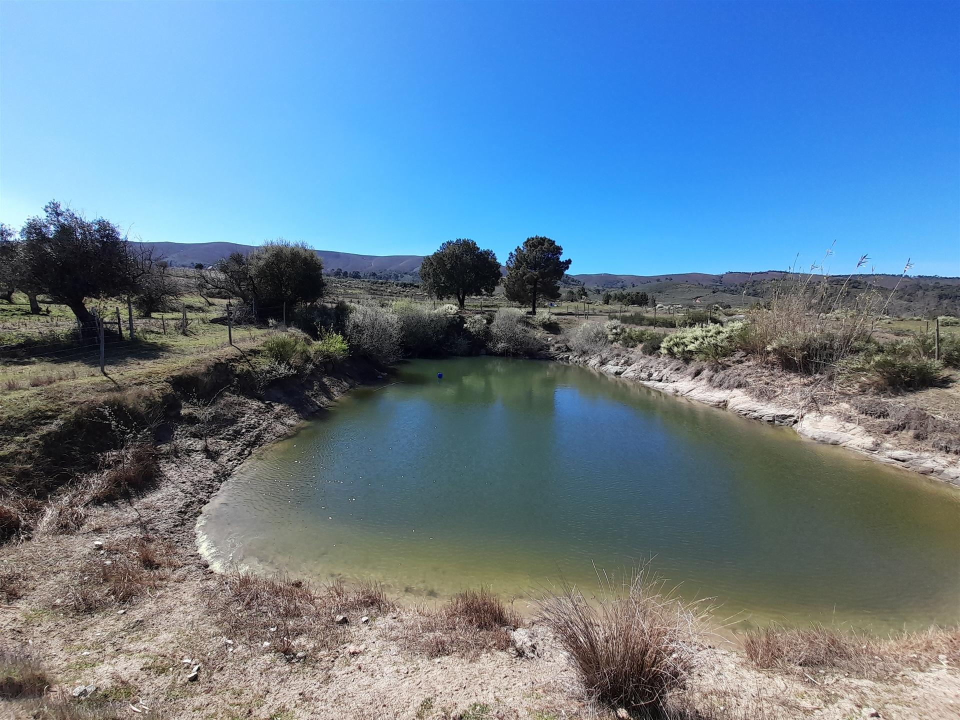 Quinta com 3.3ha no Telhado, Fundão - Portugal