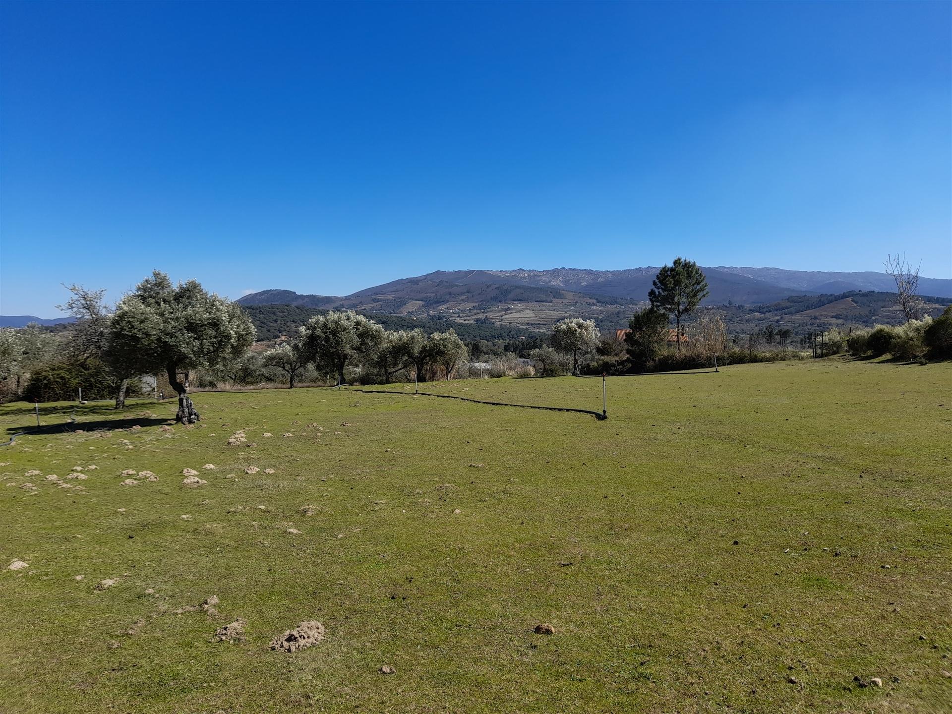 Quinta com 3.3ha no Telhado, Fundão - Portugal