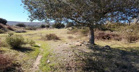 Quinta com 3.3ha no Telhado, Fundão - Portugal