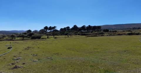 Quinta com 3.3ha no Telhado, Fundão - Portugal