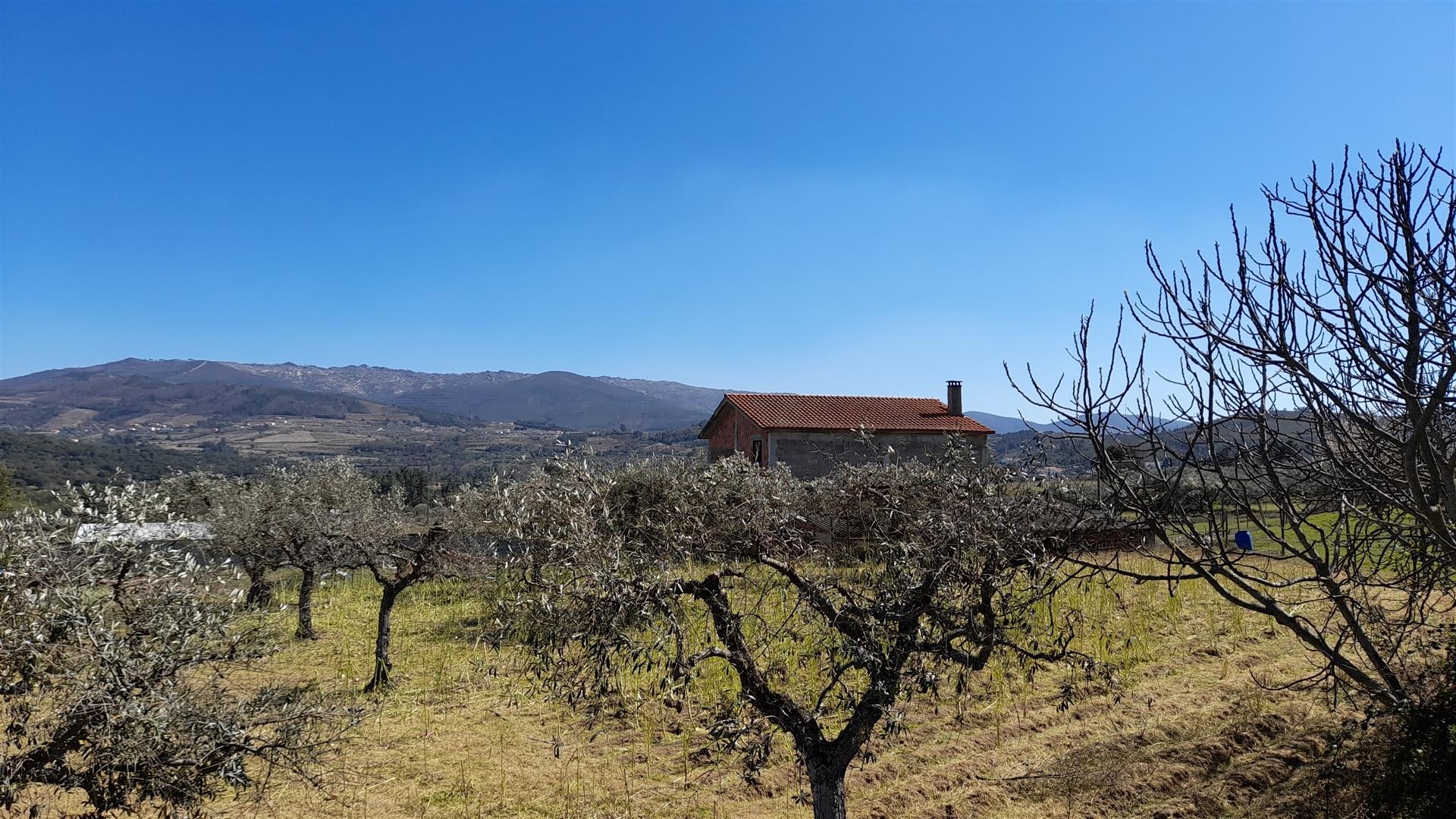 Quinta com 3.3ha no Telhado, Fundão - Portugal