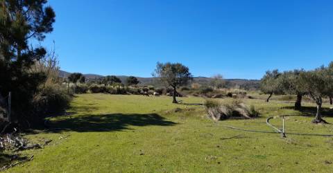 Quinta com 3.3ha no Telhado, Fundão - Portugal