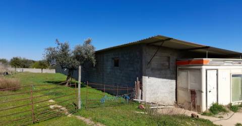 Quinta com 3.3ha no Telhado, Fundão - Portugal