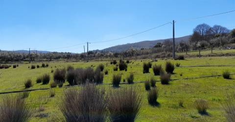 Quinta com 3.3ha no Telhado, Fundão - Portugal