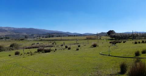 Quinta com 3.3ha no Telhado, Fundão - Portugal