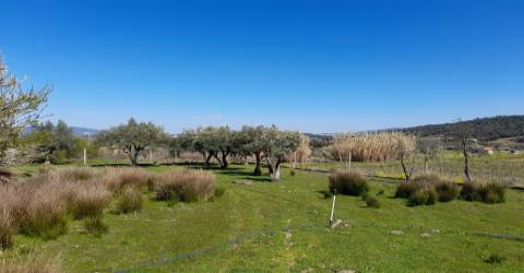 Quinta com 3.3ha no Telhado, Fundão - Portugal