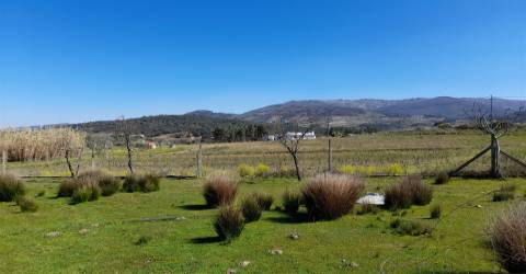 Quinta com 3.3ha no Telhado, Fundão - Portugal
