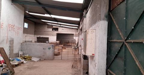 Quinta com 3.3ha no Telhado, Fundão - Portugal