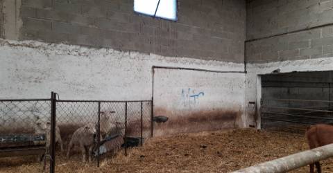 Quinta com 3.3ha no Telhado, Fundão - Portugal