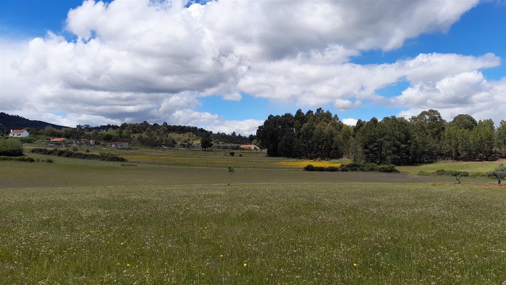 Quinta  com 2,14Ha em Quintas da Torre, Fundão - Portugal