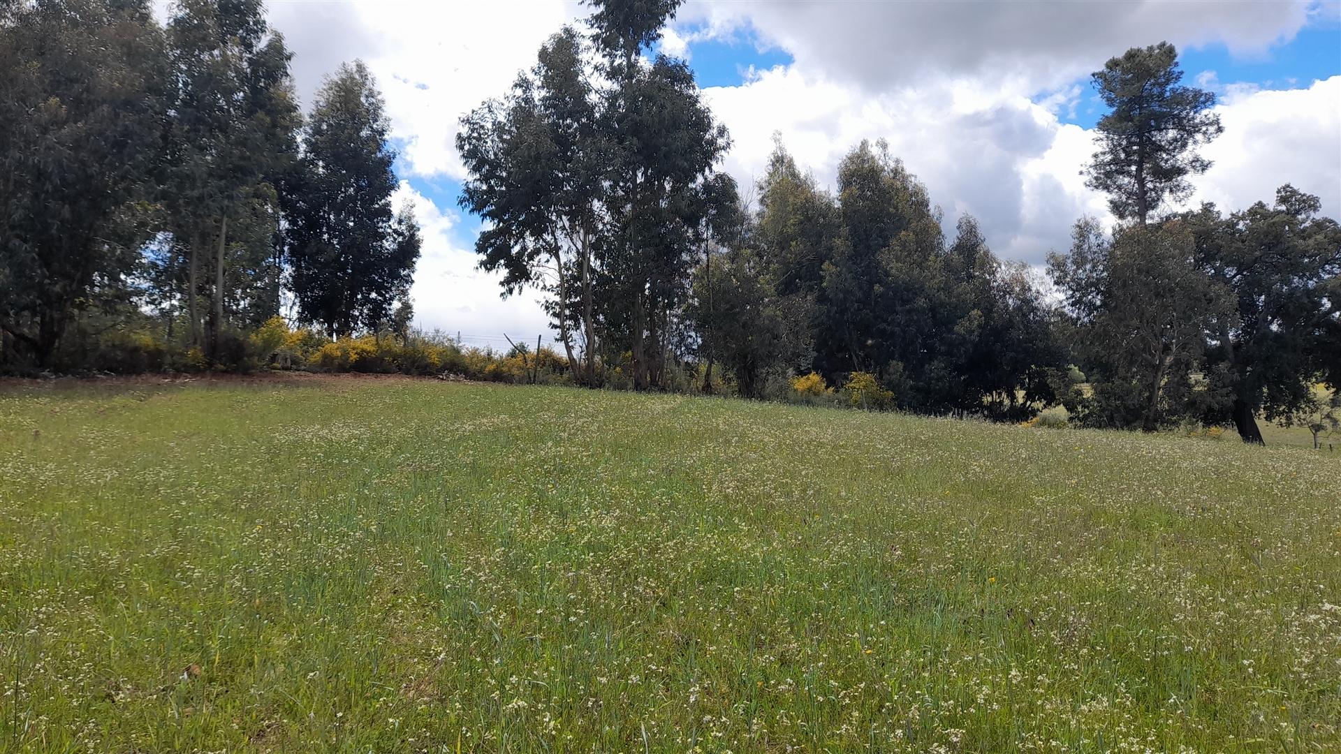 Quinta  com 2,14Ha em Quintas da Torre, Fundão - Portugal