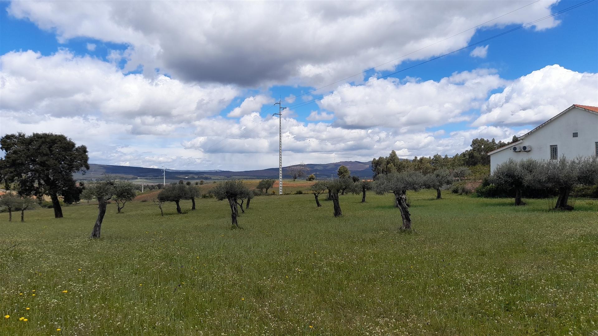 Quinta  com 2,14Ha em Quintas da Torre, Fundão - Portugal