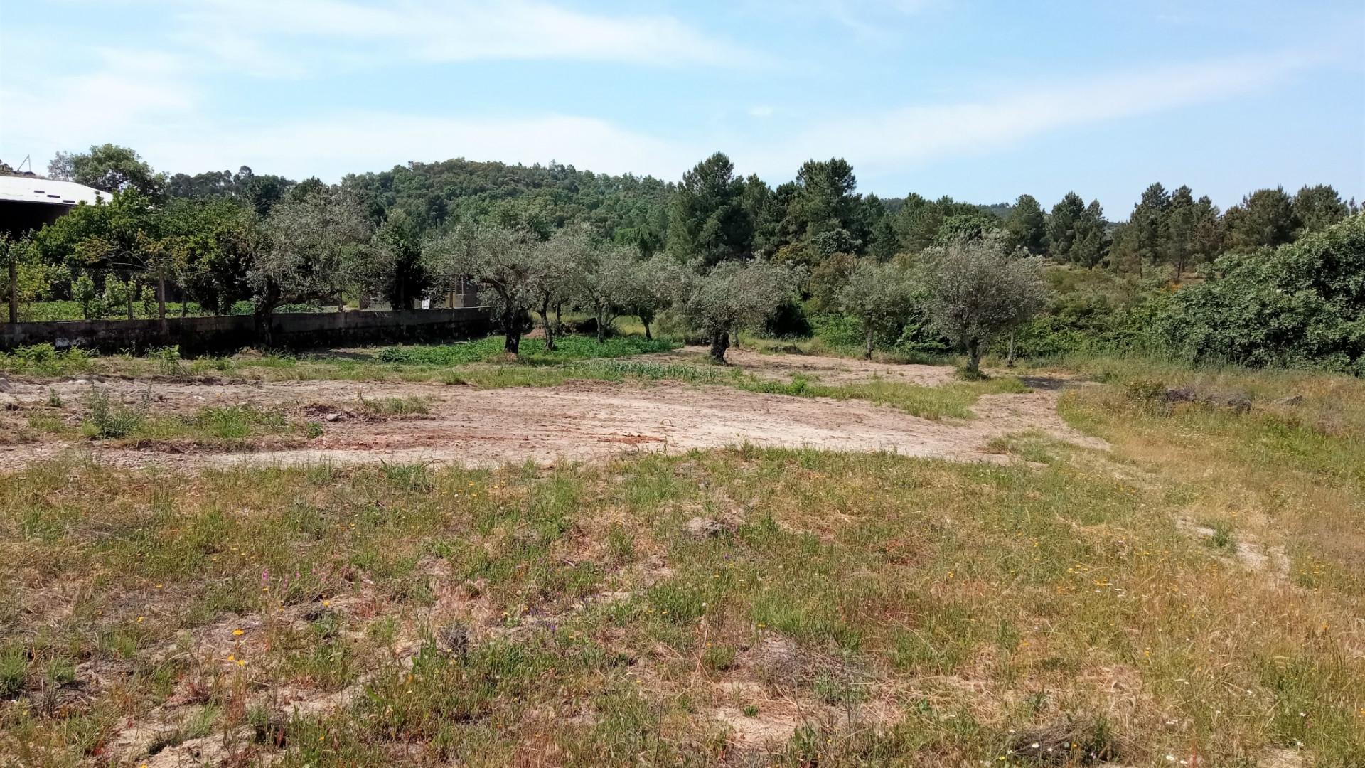 Terreno misto em Aldeia do Bispo