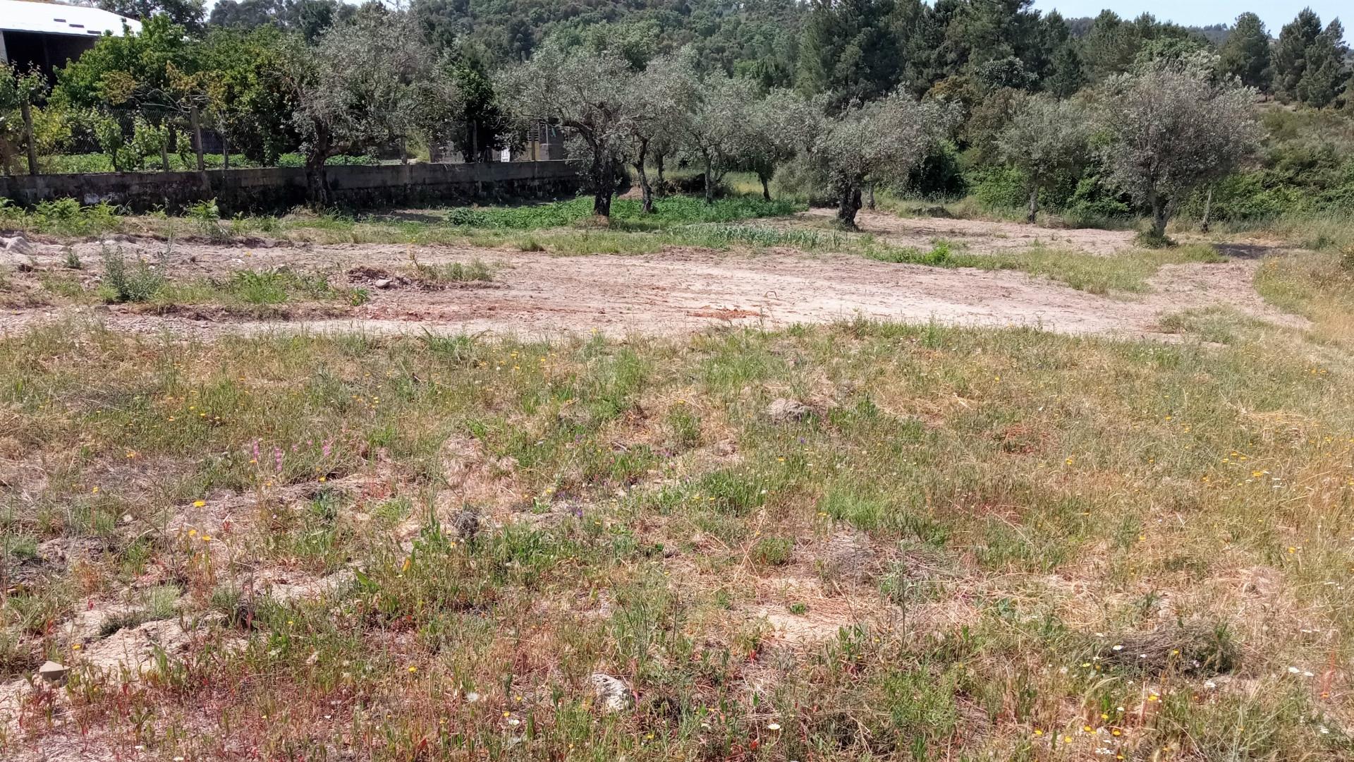 Terreno misto em Aldeia do Bispo