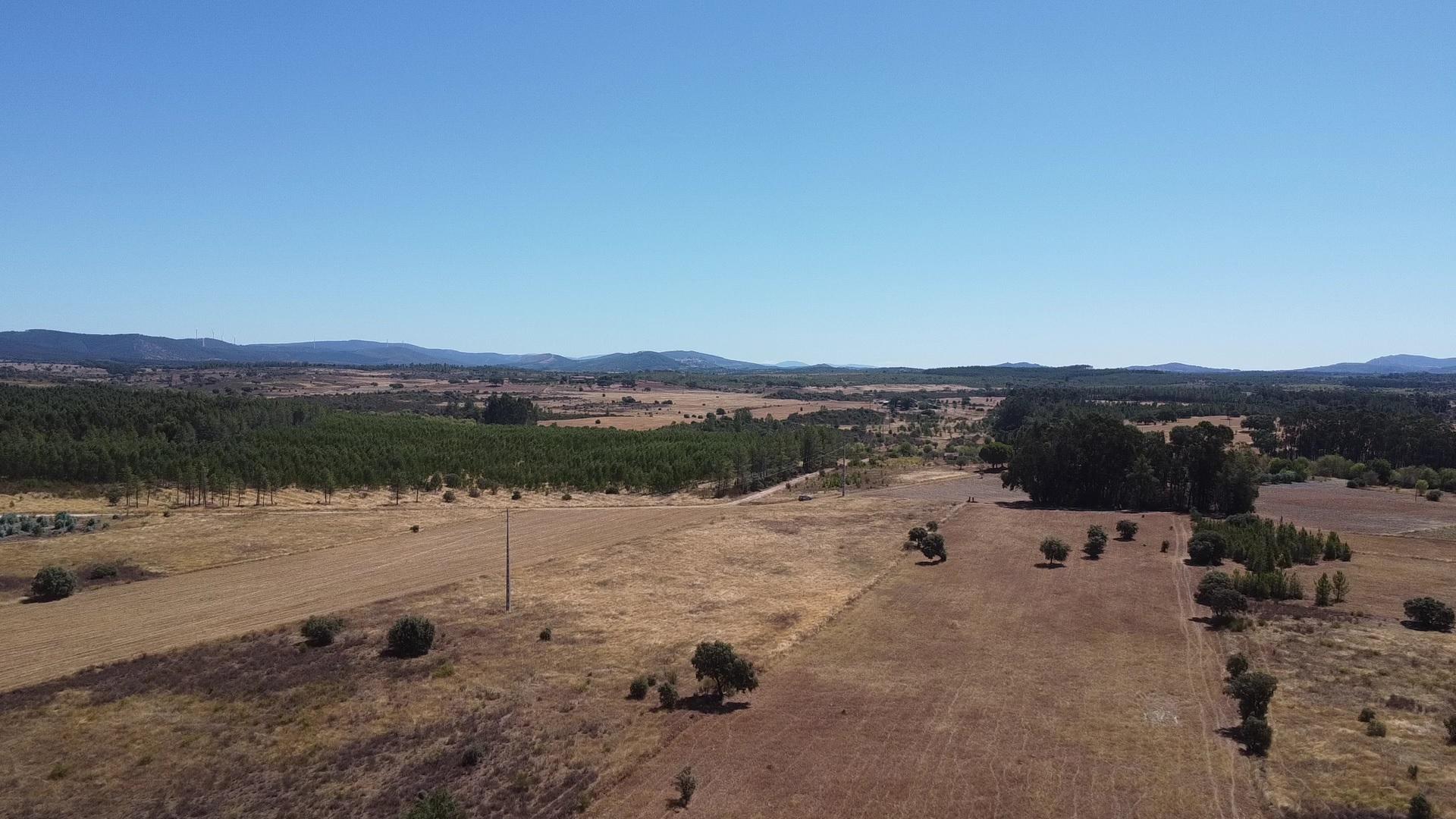 Terreno Rústico - Ribeiro - 2.35 ha - Penamacor