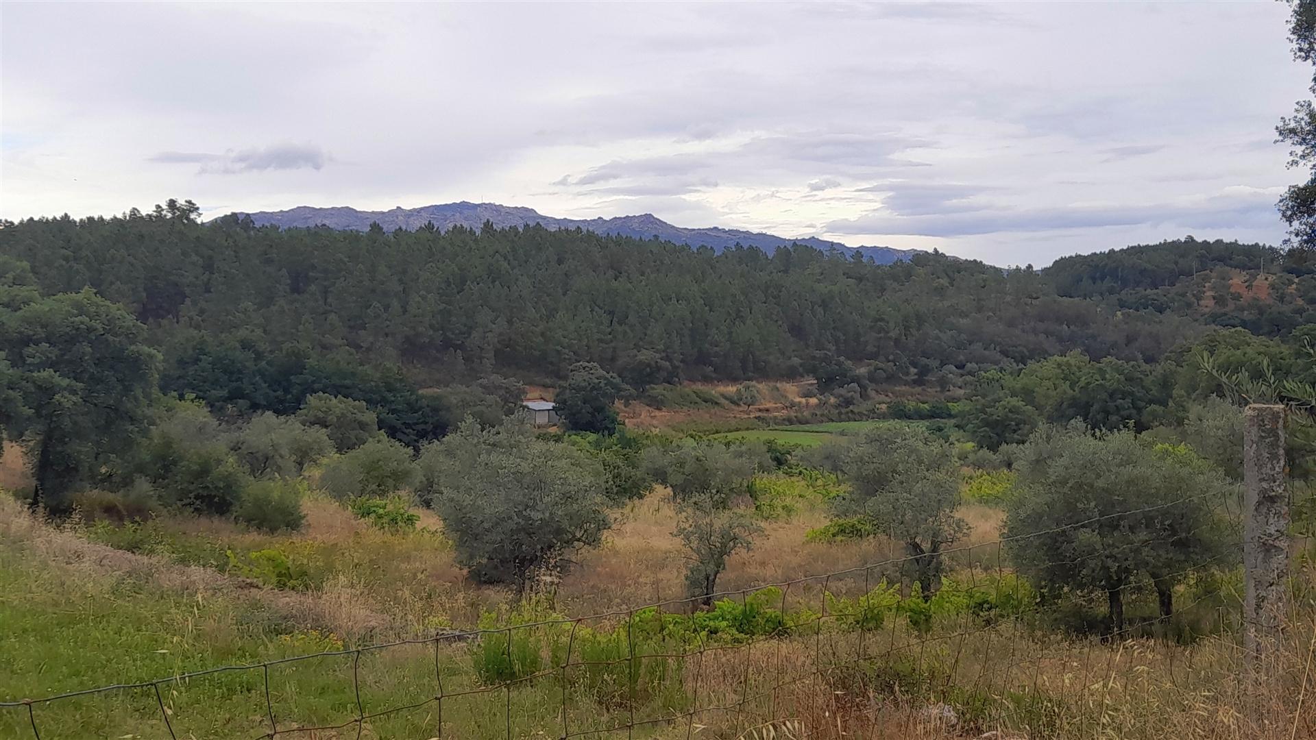 Quintinha isolada com 1400m2, vistas para Vale.