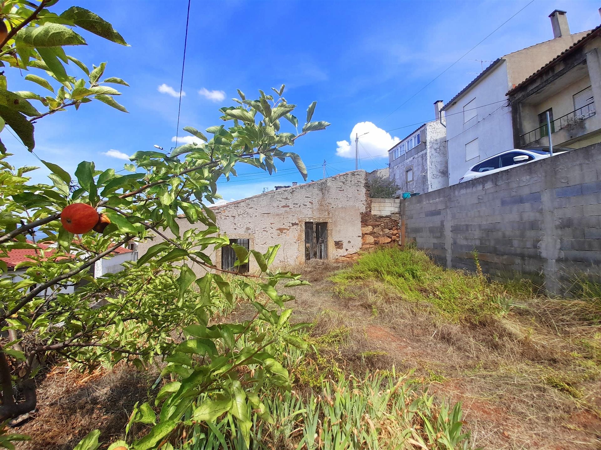 Moradia Isolada com grande quintal - Salgueiro do Campo