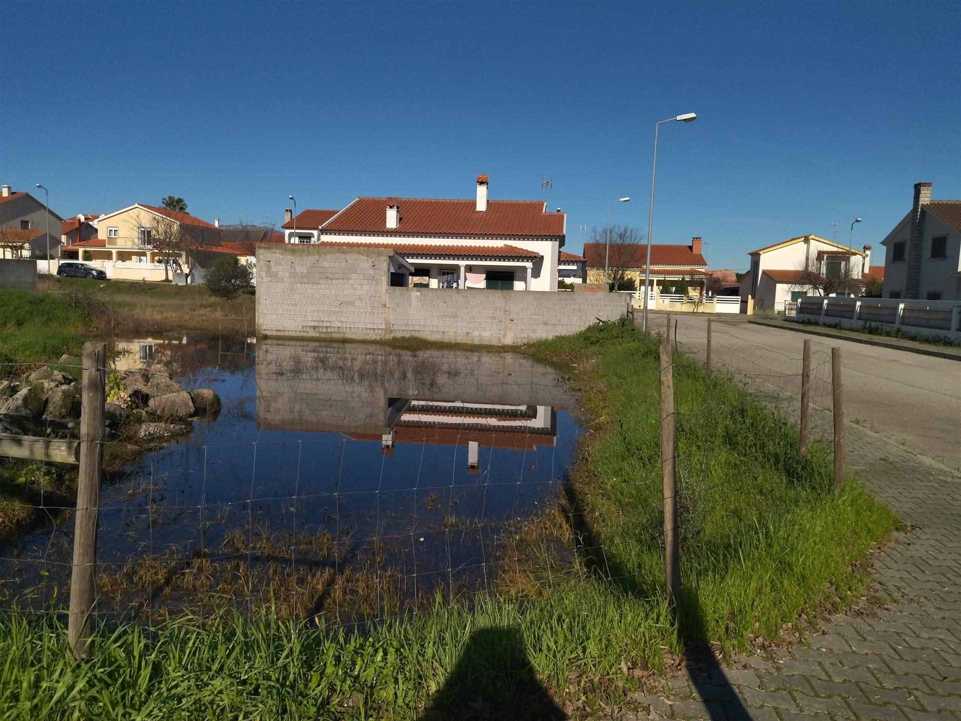 lote de terreno  Lardosa, Castelo Branco.