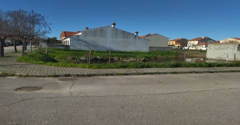 lote de terreno  Lardosa, Castelo Branco.