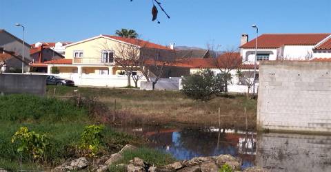 lote de terreno  Lardosa, Castelo Branco.