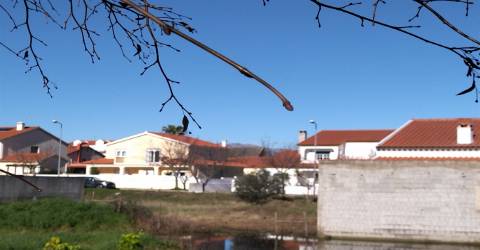 lote de terreno  Lardosa, Castelo Branco.